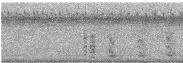 Синекрылая кукабара - ML612655656