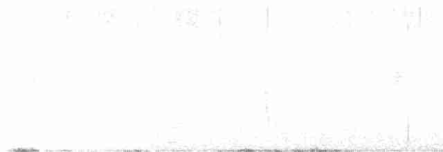 Дрозд-отшельник - ML612656184