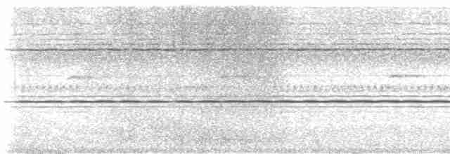 budníček amurský - ML612656200
