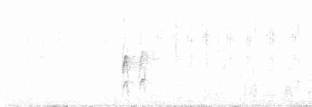 strakapoud šedočelý - ML612656394