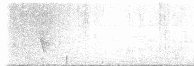 budníček amurský - ML612656506