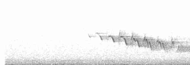 Зяблик гран-канарський - ML612656632