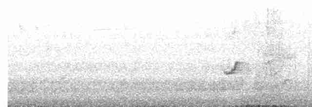 Зяблик гран-канарський - ML612656653