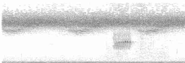 Светлогрудая тимелия-говорушка - ML612656674