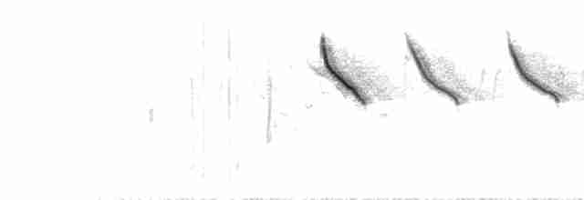 Шиподзьоб рудогузий - ML612657041