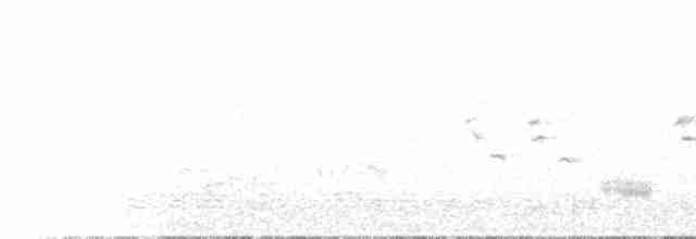 Пустковик рудогорлий - ML612657734