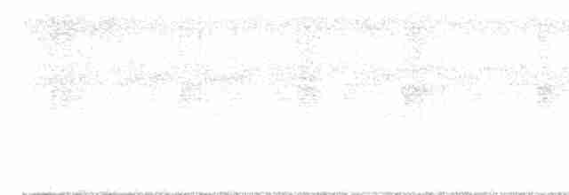 Gray-bellied Tesia - ML612658381