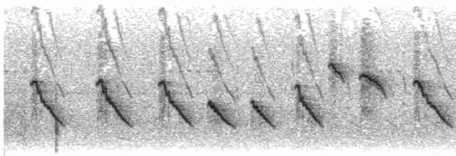 Кратеропа смугастоголова - ML612662249