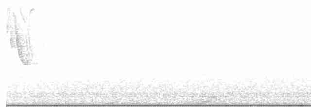 Kırlangıç Kuyruklu Kolibri - ML612665582
