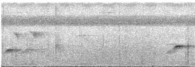 holub palauský - ML612669387