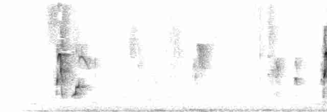 Морщинистоклювая ани - ML612670095
