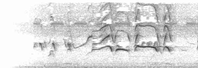 Kara Karınlı Islıkçı Ördek - ML612670747