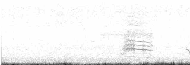 Dot-winged Crake - ML612672024