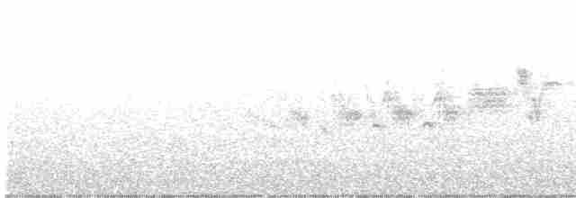 Black-throated Gray Warbler - ML612672093