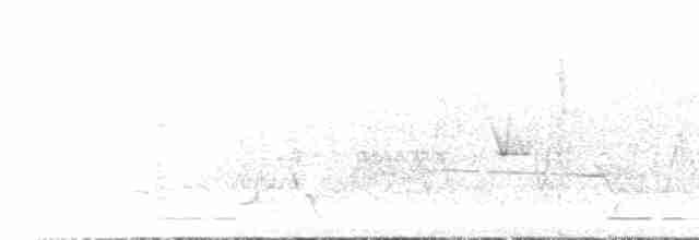 Black-eared Cuckoo - ML612672703