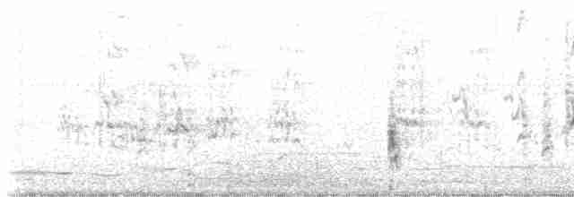 Australian Reed Warbler - ML612675700