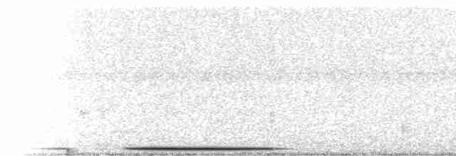 holub bledočelý - ML612676798