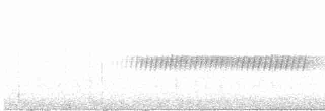 Pine Warbler - ML612678990