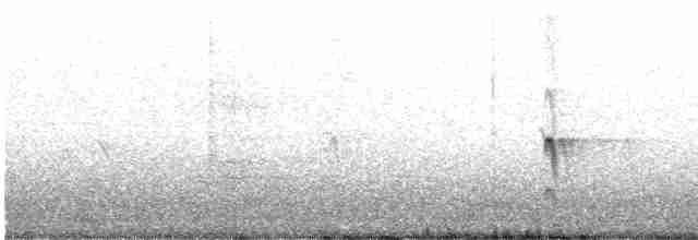 Длиннохвостый тиранн - ML612679392