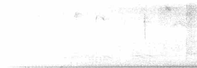 Double-crested Cormorant - ML612680975