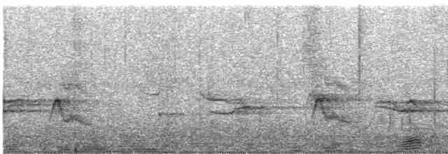 Patagonya Ardıcı (magellanicus/pembertoni) - ML612681474