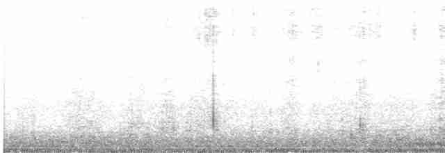 Eastern Screech-Owl - ML612681586