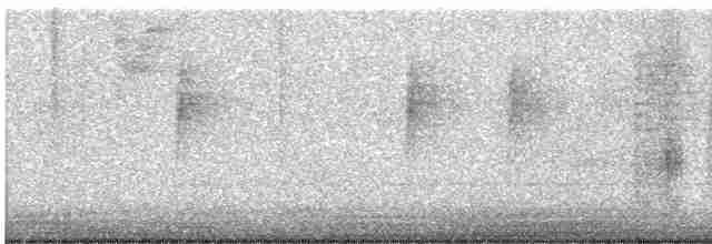 Vireo de Hutton (grupo stephensi) - ML612683349