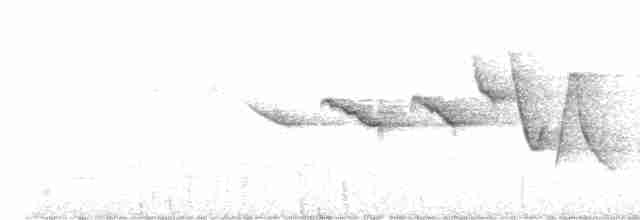 Swainson's Warbler - ML612687594