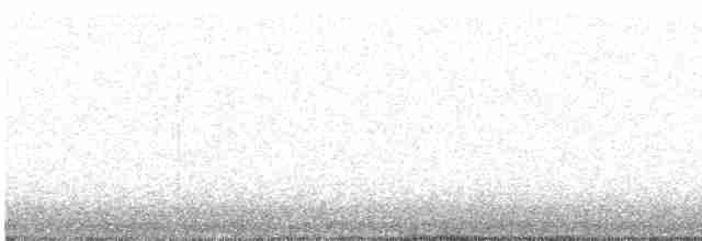 Кам’янка звичайна - ML612689357