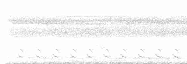 Биакский райский зимородок - ML612691056