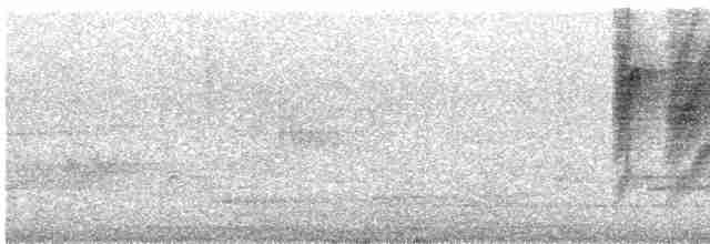 svartnakkemonark - ML612692411