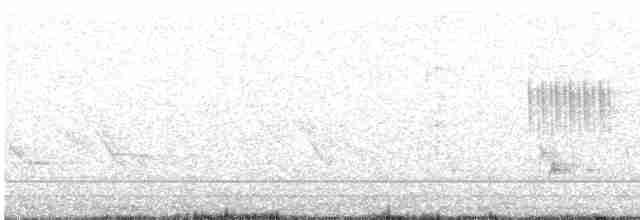 Серый петух - ML612693574