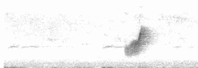 Міагра білогорла - ML612693728