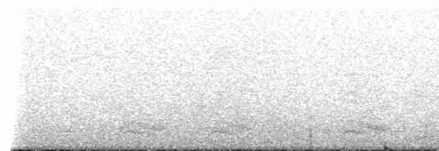 Юнко сірий - ML612694454