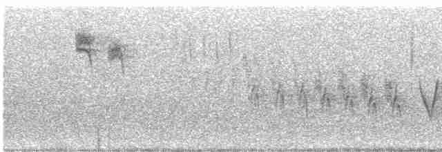 Spotted Flycatcher - ML612695235