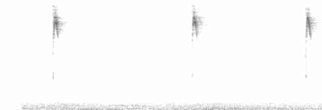 Méliphage carillonneur - ML612696264