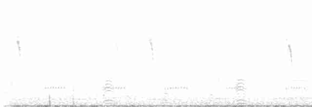 פורפיריה אפורת-ראש - ML612697762
