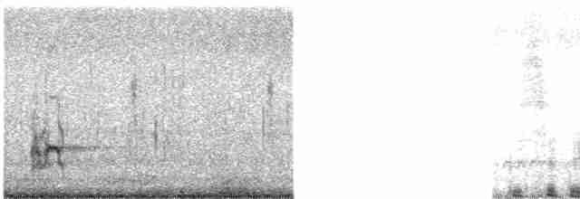 太平洋金斑鴴 - ML612698263
