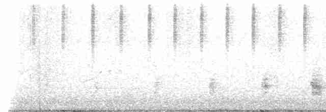 Australian Reed Warbler - ML612698473