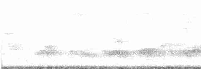 Perlenkehl-Ameisenschlüpfer - ML612699120