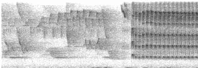 Тиран-інка буроголовий - ML612699464