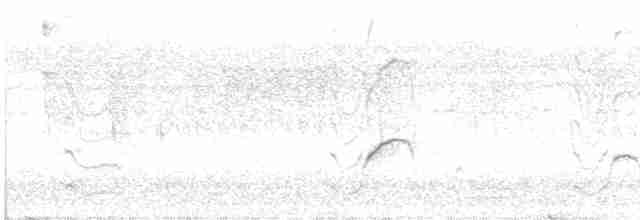 Long-tailed Broadbill - ML612700453