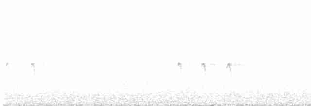 "Шишкар ялиновий (Northeastern, або тип 12)" - ML612701452