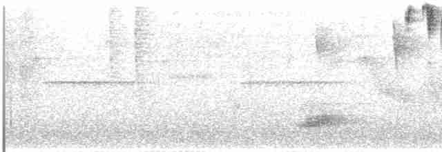Фиолетовоголовый колибри - ML612702585