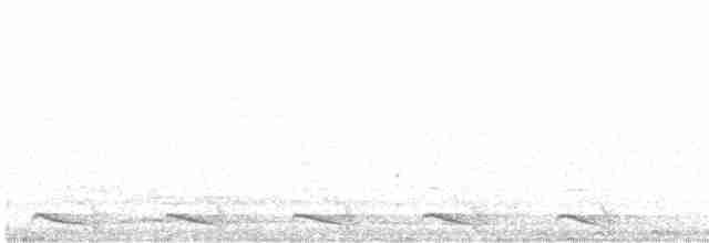 Trogon montagnard - ML612703043