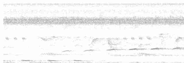 Fork-tailed Drongo-Cuckoo - ML612703212