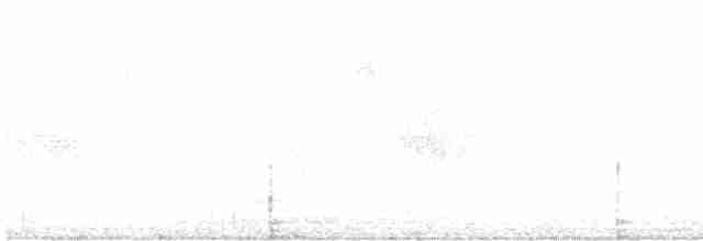 Kuzey Sorguçlu Sinekkapan (phaeocercus/tenuirostris) - ML612705526