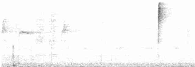 Piranga érythrocéphale - ML612705593