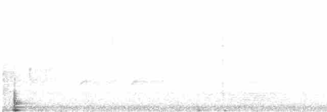 Дрізд-короткодзьоб плямистоволий - ML612705618