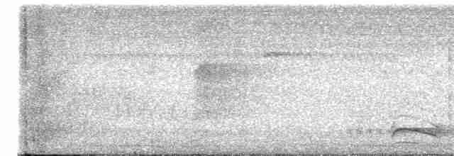 Black-crowned Antshrike - ML612713744